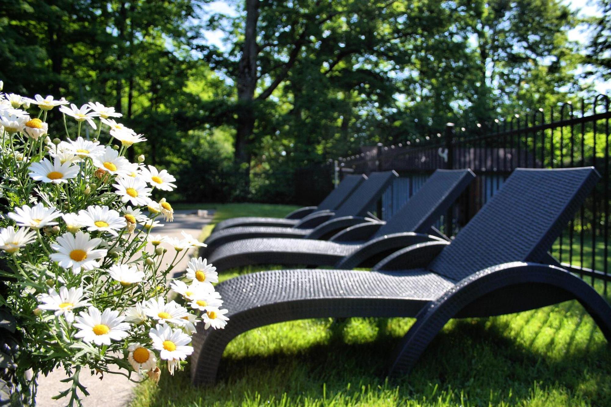 Domaine Jolivent Hotel Lac-Brome Exterior photo