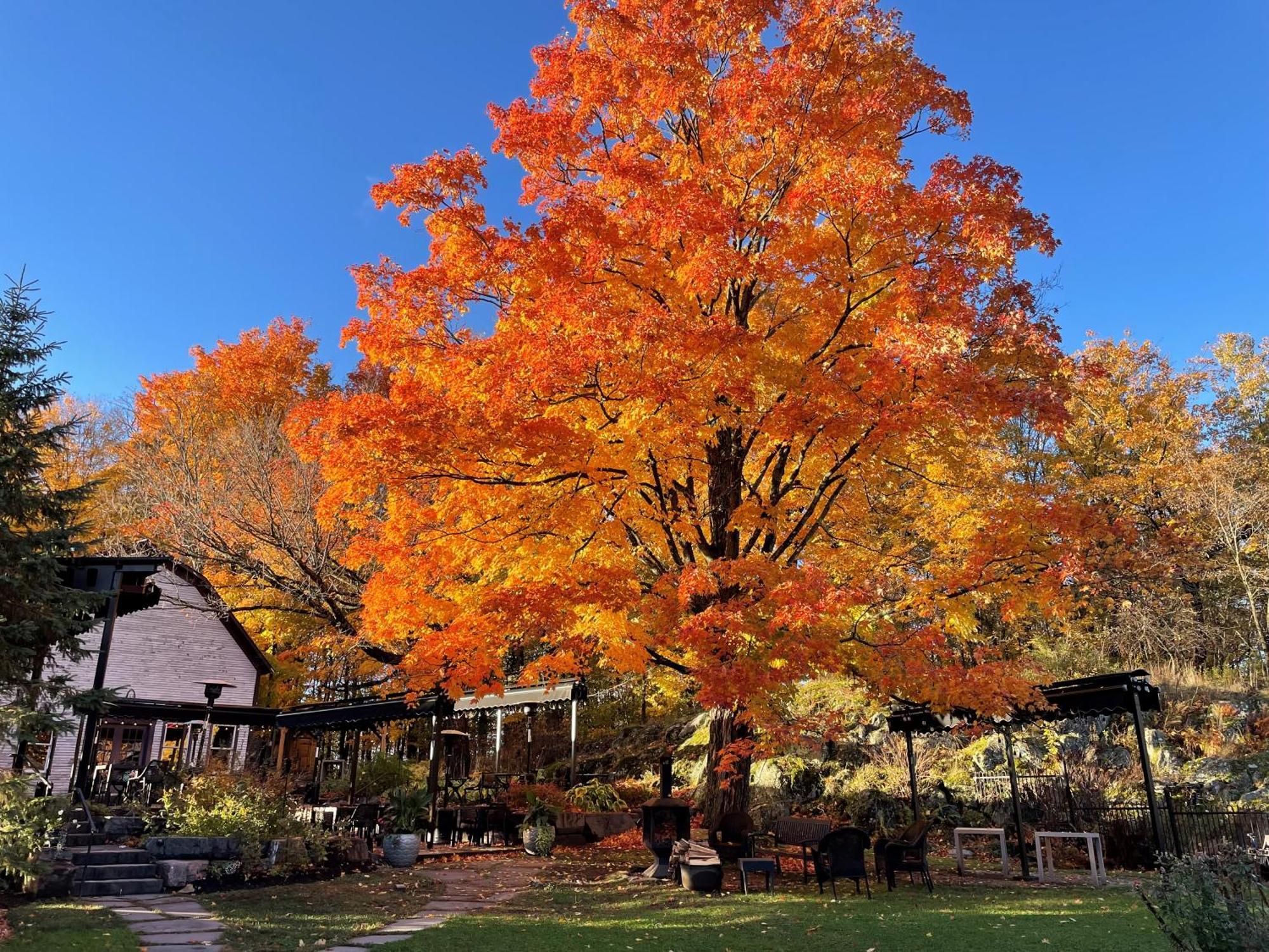 Domaine Jolivent Hotel Lac-Brome Exterior photo